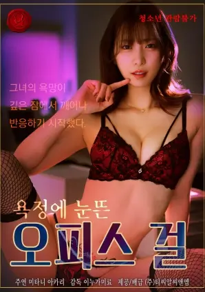 双男主职场动漫夜航西飞海报